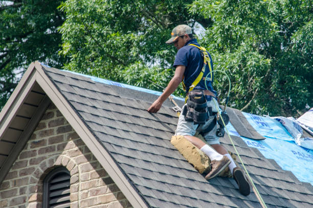 Best Roof Maintenance Services  in Oconto Falls, WI