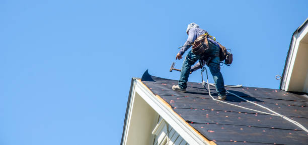 Best Shingle Roofing Installation  in Oconto Falls, WI